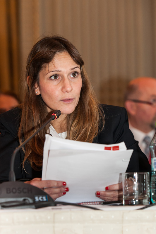 ERGP Workshop, Bucharest 2014