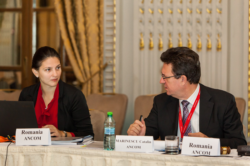 ERGP Plenary Meeting, Bucharest 2014