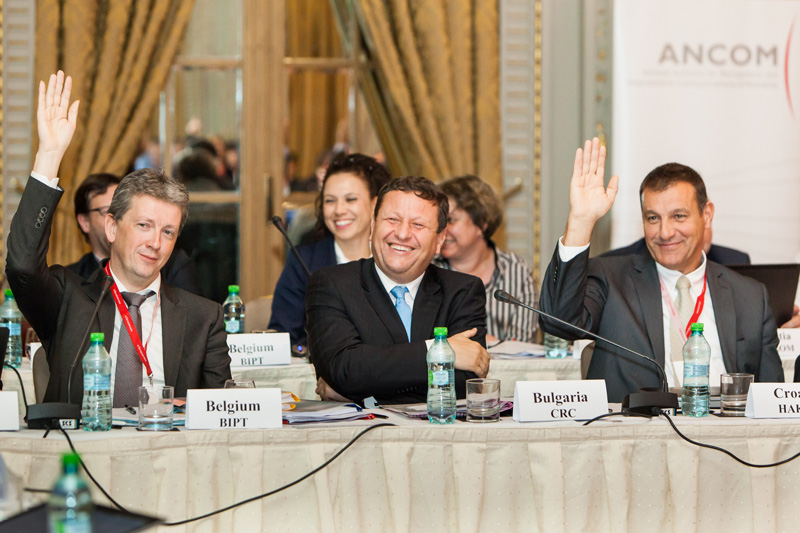 ERGP Plenary Meeting, Bucharest 2014